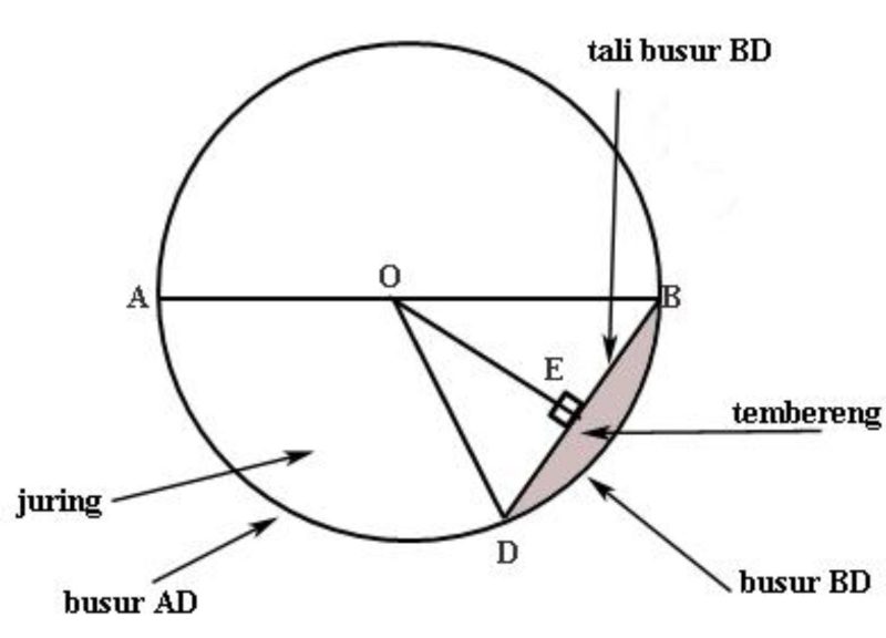 Struktur lingkaran